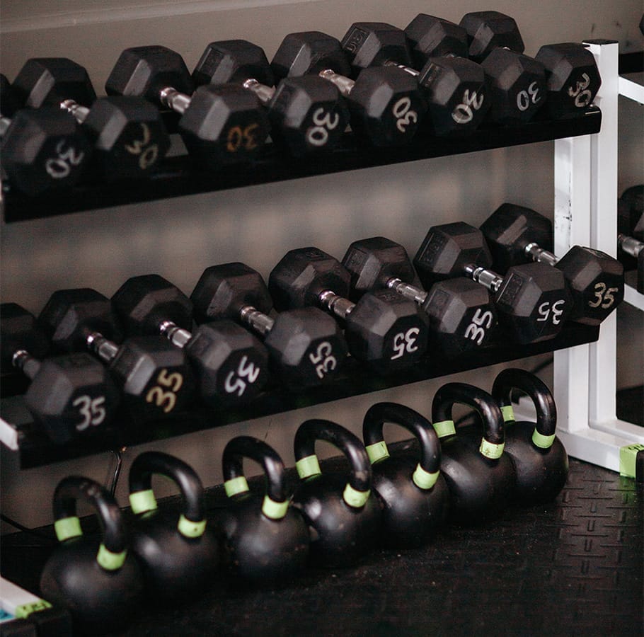 Privacy Policy 1 best gym equipment for training